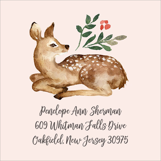 Spring Fawn Square Address Labels
